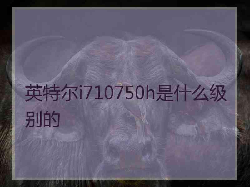 英特尔i710750h是什么级别的 英特尔i710750h是什么级别的