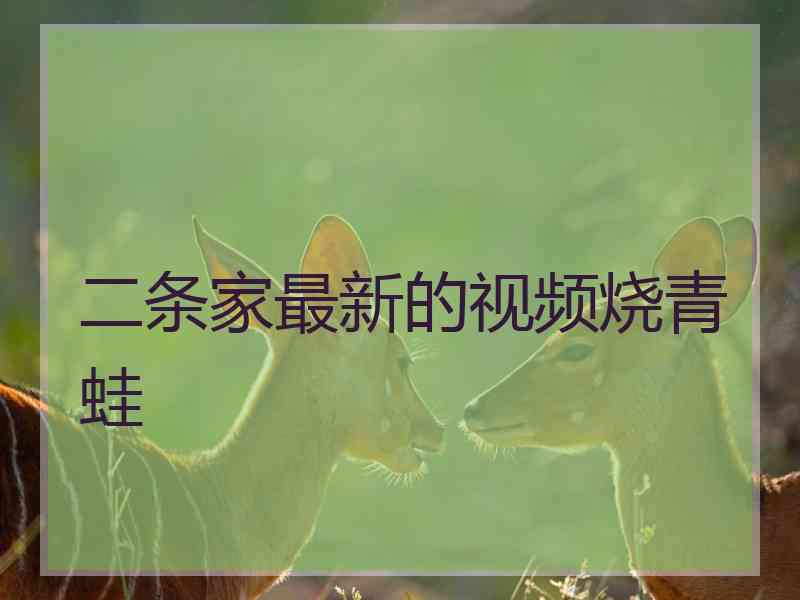 二条家最新的视频烧青蛙 二条家最新的视频烧青蛙