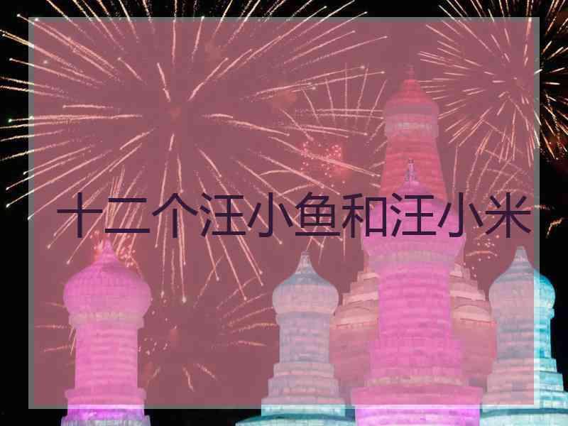十二个汪小鱼和汪小米 十二个汪小鱼和汪小米