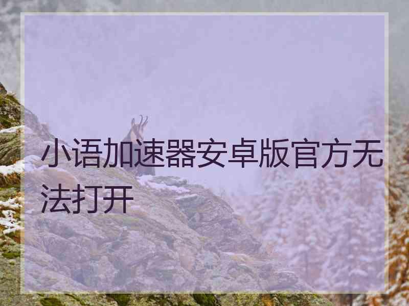 小语加速器安卓版官方无法打开 小语加速器安卓版官方无法打开
