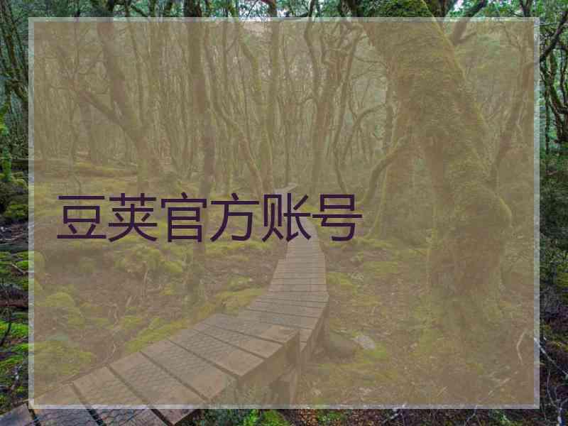 豆荚官方账号 豆荚官方账号