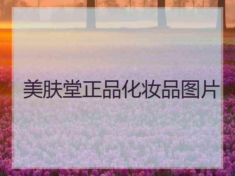 美肤堂正品化妆品图片 美肤堂正品化妆品图片