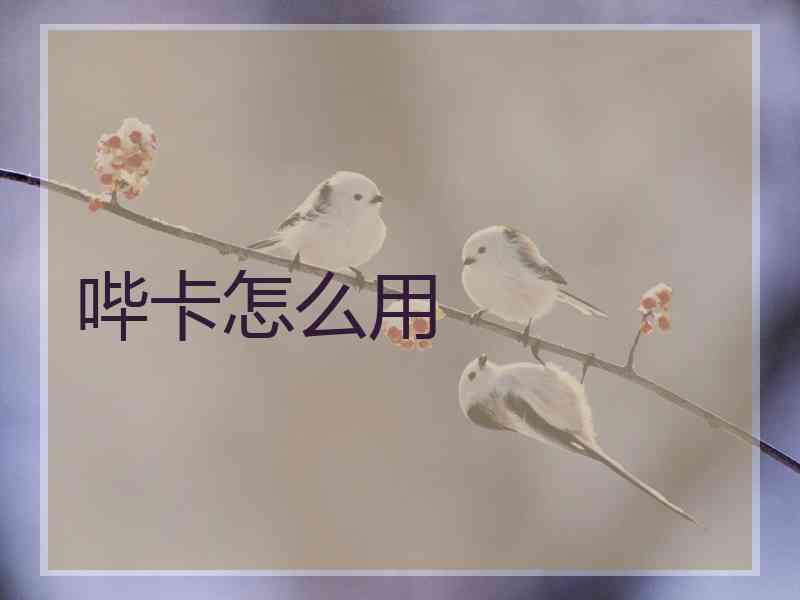 哔卡怎么用 哔卡怎么用
