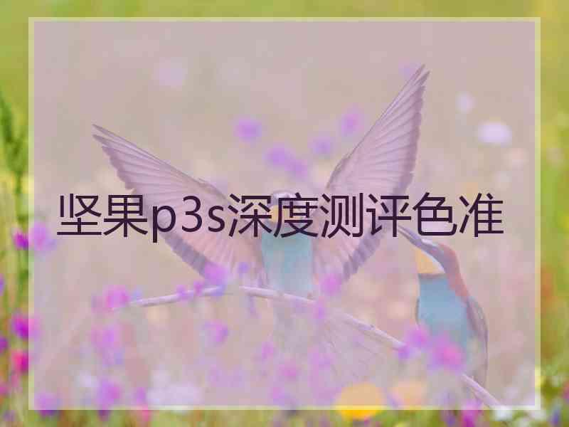 坚果p3s深度测评色准 坚果p3s深度测评色准