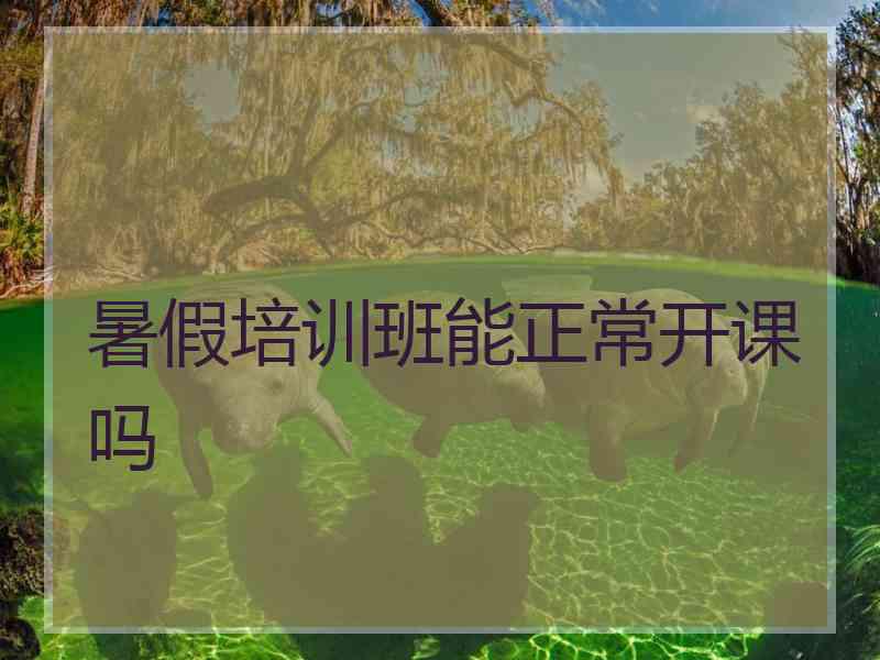 暑假培训班能正常开课吗 暑假培训班能正常开课吗