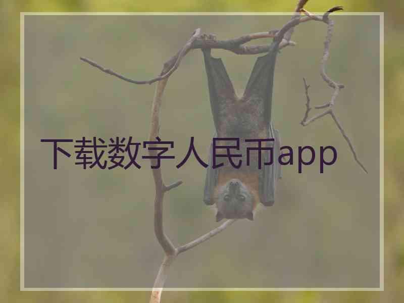 下载数字人民币app 下载数字人民币app