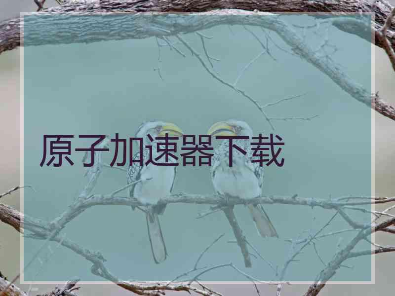 原子加速器下载 原子加速器下载