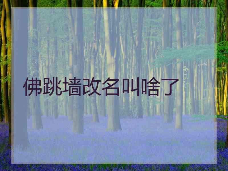 佛跳墙改名叫啥了 佛跳墙改名叫啥了