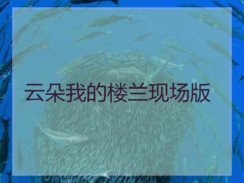 云朵我的楼兰现场版 云朵我的楼兰现场版