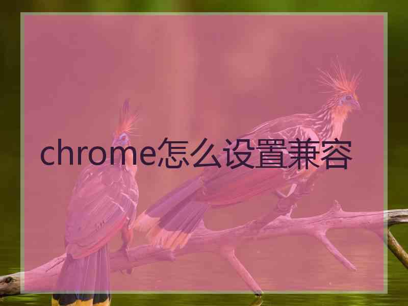 chrome怎么设置兼容 chrome怎么设置兼容