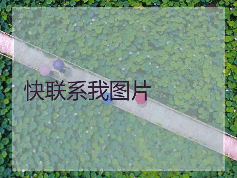 快联系我图片 快联系我图片