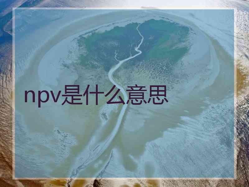 npv是什么意思 npv是什么意思