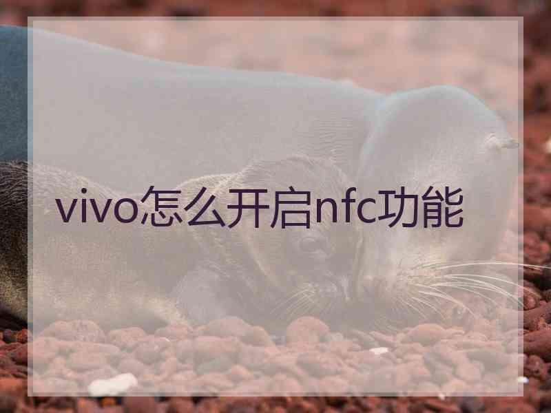vivo怎么开启nfc功能 vivo怎么开启nfc功能