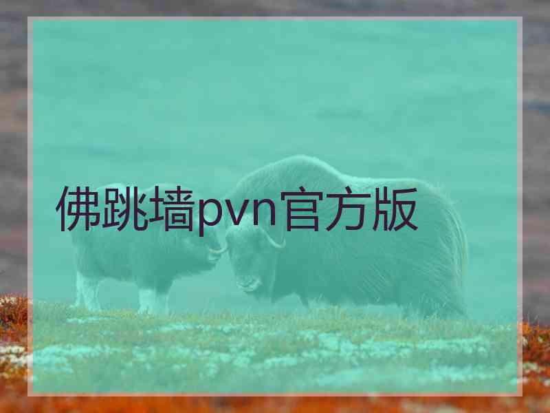 佛跳墙pvn官方版 佛跳墙pvn官方版