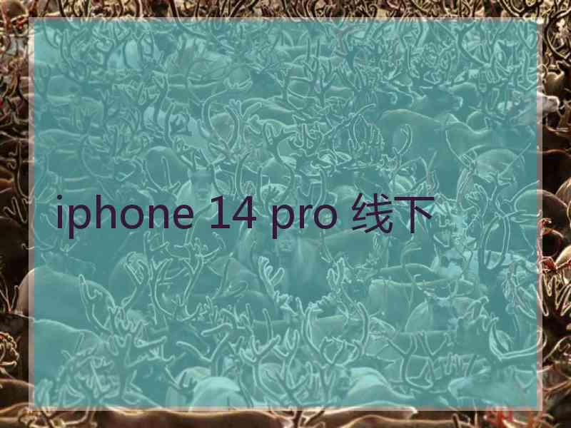 iphone 14 pro 线下 iphone 14 pro 线下