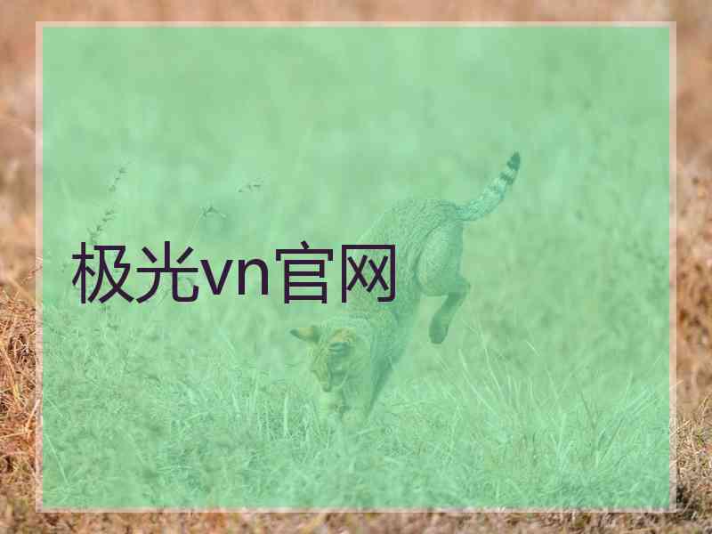 极光vn官网 极光vn官网