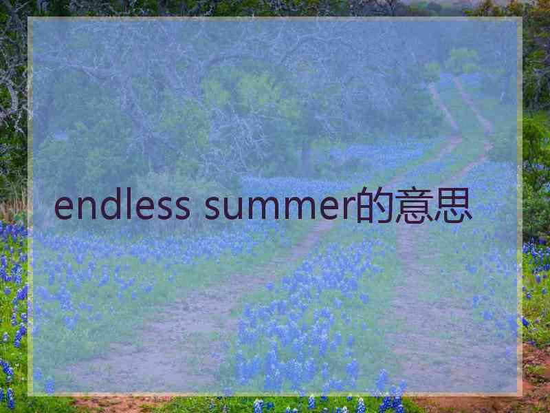 endless summer的意思 endless summer的意思