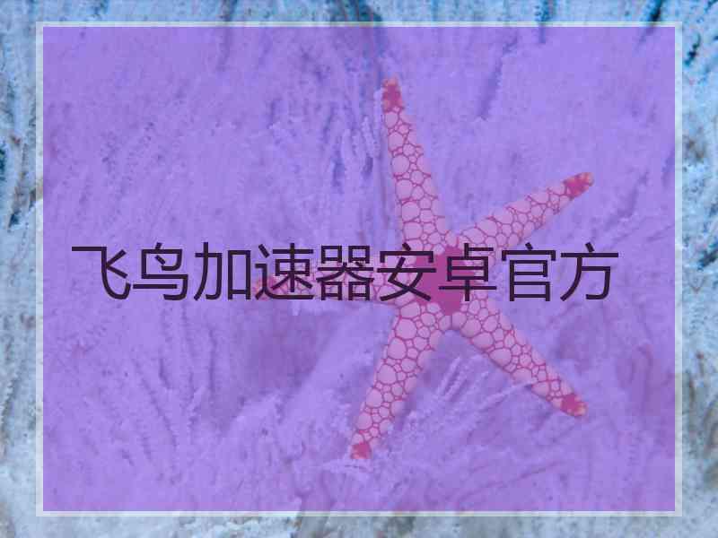 飞鸟加速器安卓官方 飞鸟加速器安卓官方