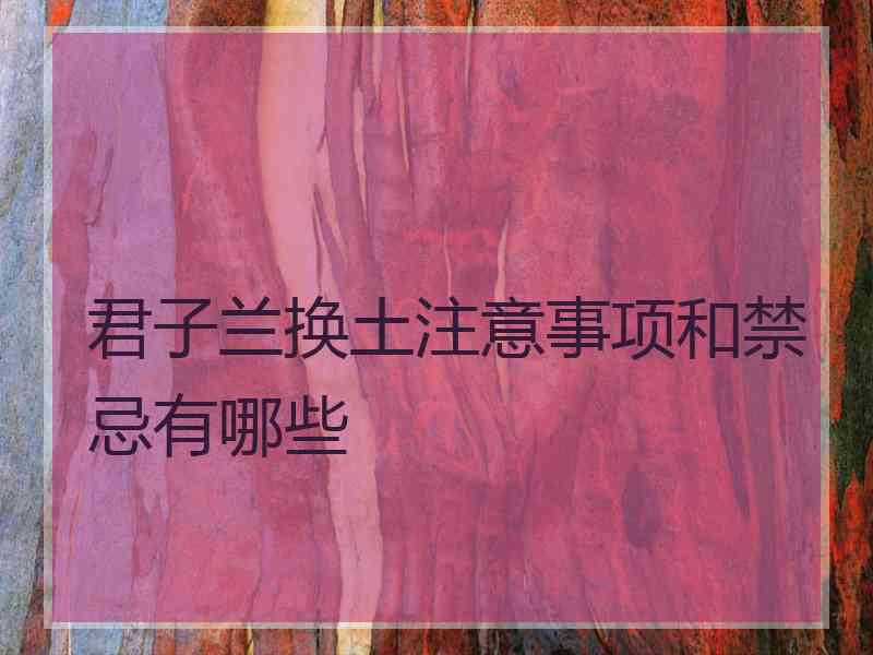 君子兰换土注意事项和禁忌有哪些 君子兰换土注意事项和禁忌有哪些