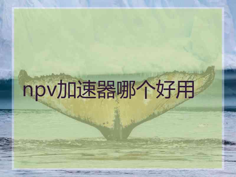 npv加速器哪个好用 npv加速器哪个好用