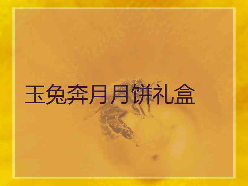 玉兔奔月月饼礼盒 玉兔奔月月饼礼盒