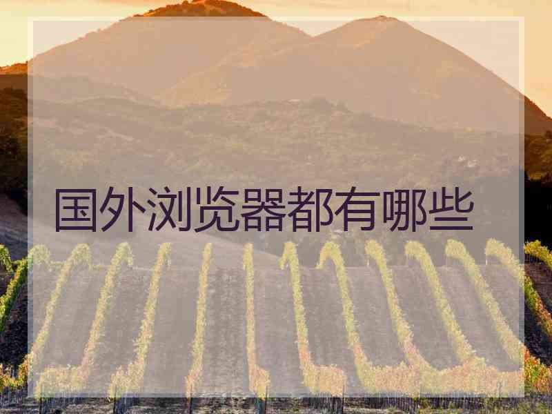 国外浏览器都有哪些 国外浏览器都有哪些