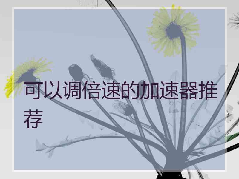 可以调倍速的加速器推荐 可以调倍速的加速器推荐