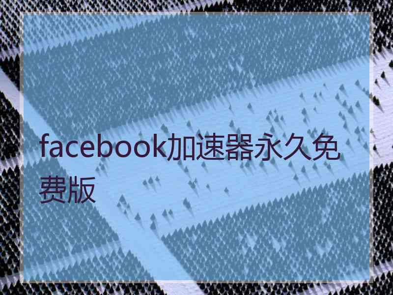 facebook加速器永久免费版 facebook加速器永久免费版