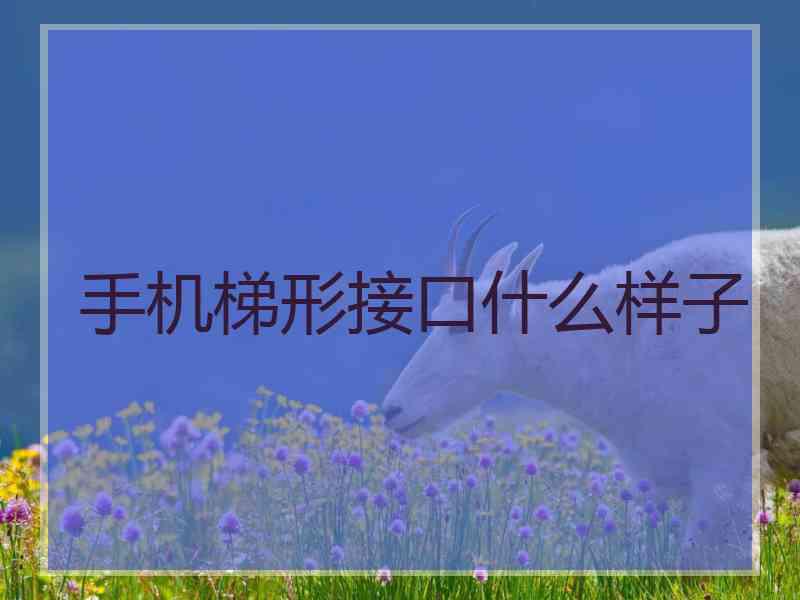 手机梯形接口什么样子 手机梯形接口什么样子