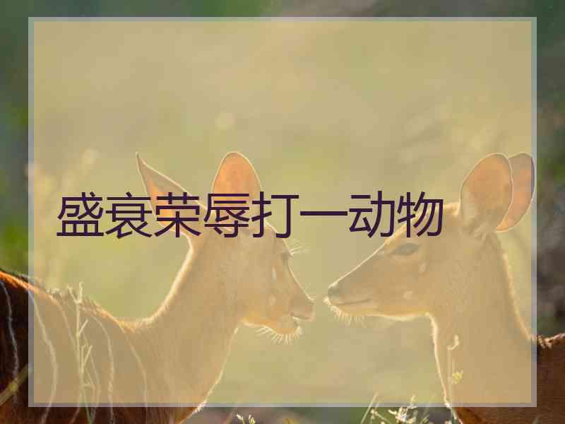 盛衰荣辱打一动物 盛衰荣辱打一动物