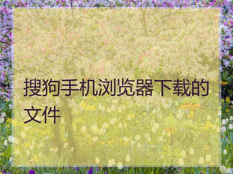 搜狗手机浏览器下载的文件 搜狗手机浏览器下载的文件