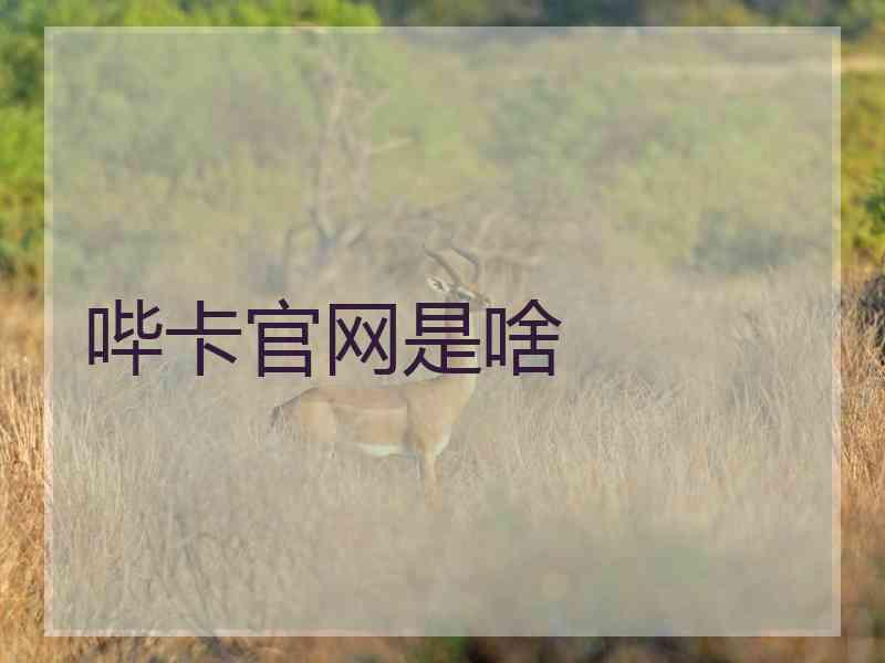 哔卡官网是啥 哔卡官网是啥