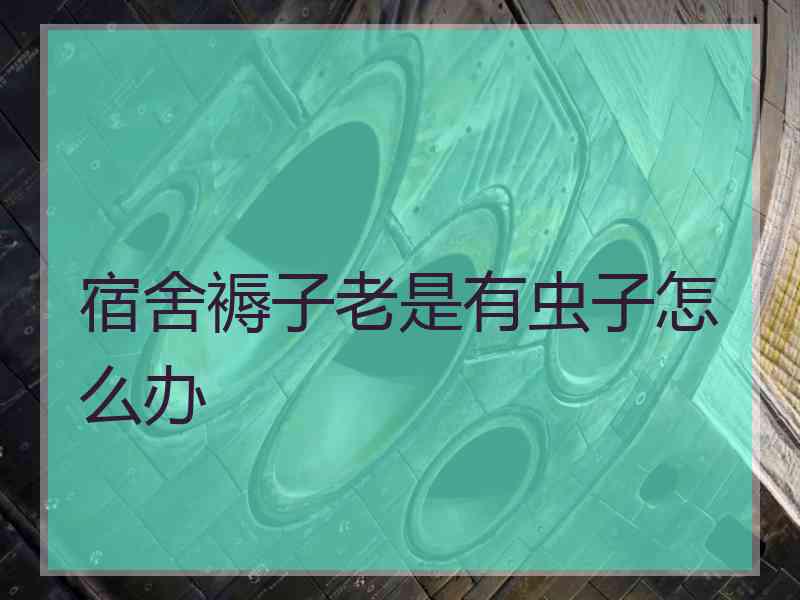 宿舍褥子老是有虫子怎么办 宿舍褥子老是有虫子怎么办