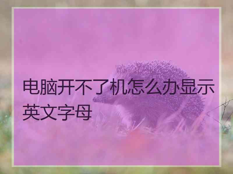 电脑开不了机怎么办显示英文字母 电脑开不了机怎么办显示英文字母