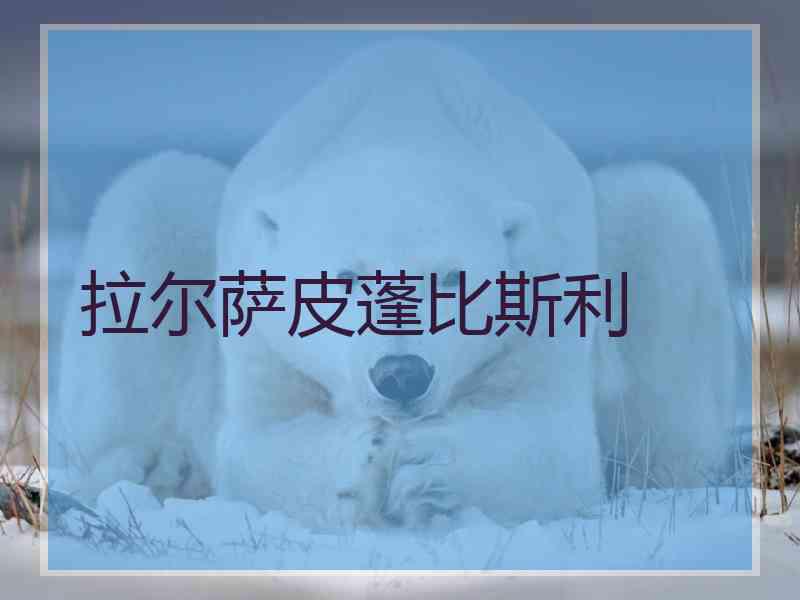 拉尔萨皮蓬比斯利 拉尔萨皮蓬比斯利