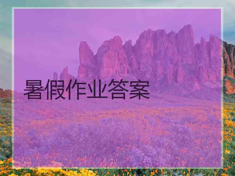 暑假作业答案 暑假作业答案