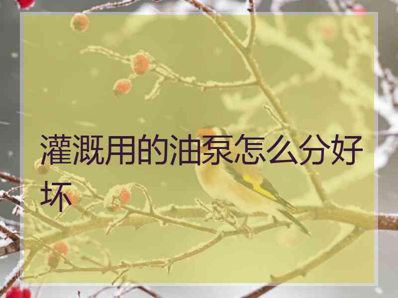 灌溉用的油泵怎么分好坏 灌溉用的油泵怎么分好坏