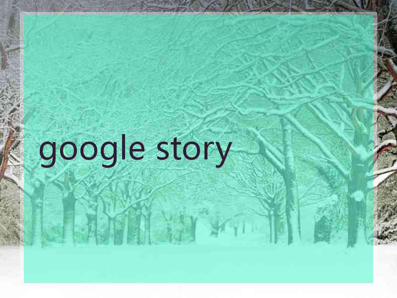 google story google story