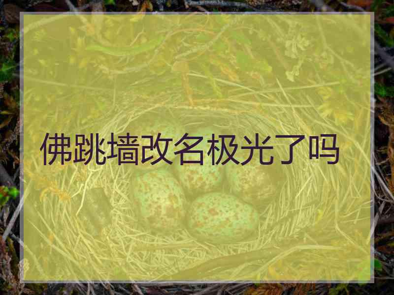 佛跳墙改名极光了吗 佛跳墙改名极光了吗