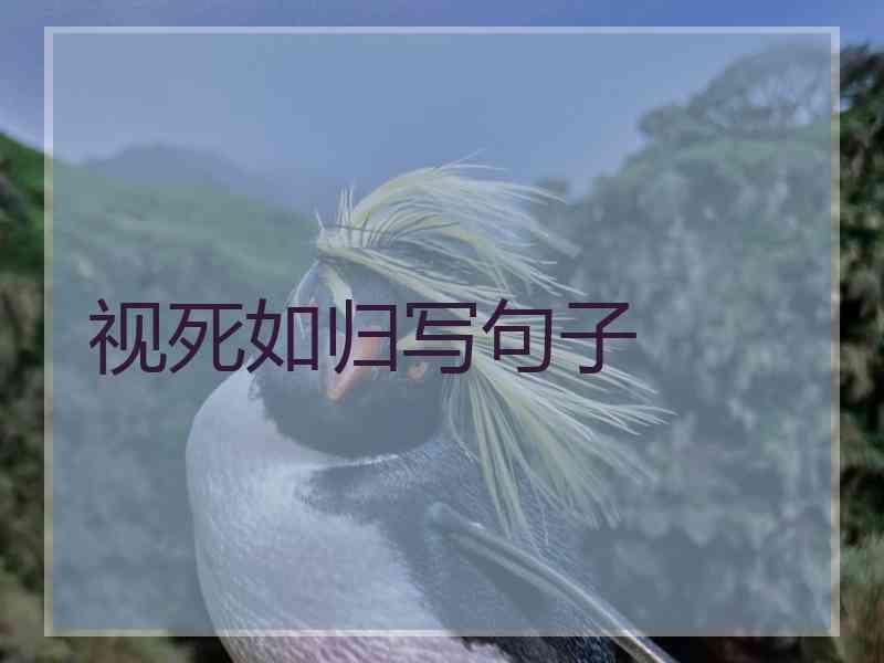 视死如归写句子 视死如归写句子