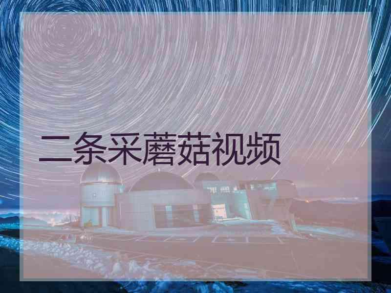 二条采蘑菇视频 二条采蘑菇视频