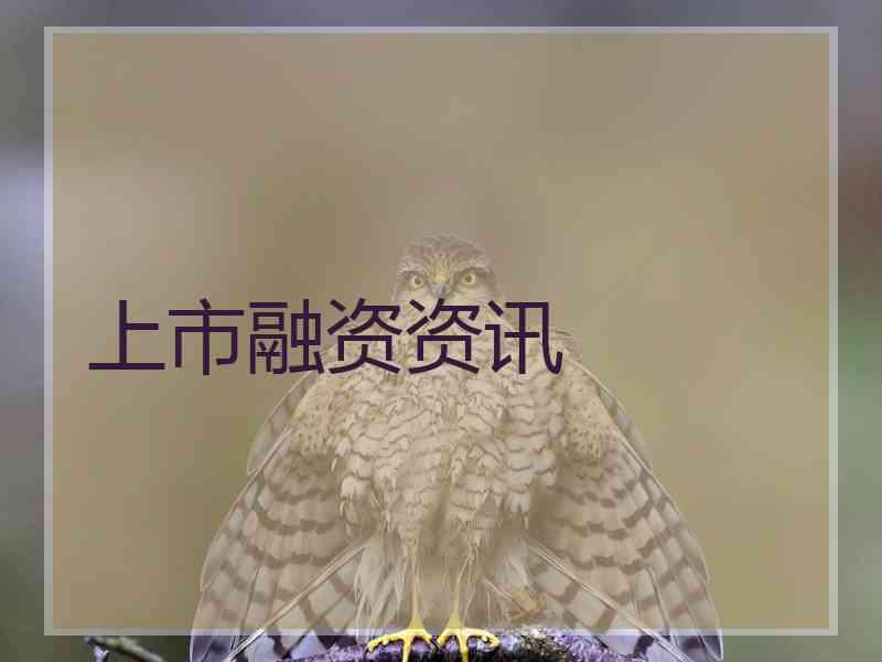上市融资资讯 上市融资资讯