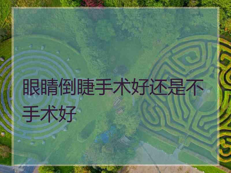 眼睛倒睫手术好还是不手术好 眼睛倒睫手术好还是不手术好