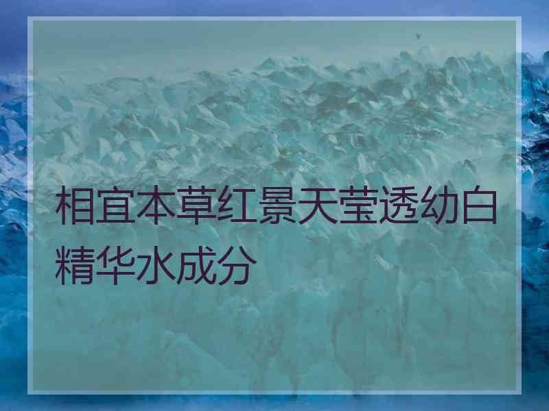 相宜本草红景天莹透幼白精华水成分 相宜本草红景天莹透幼白精华水成分