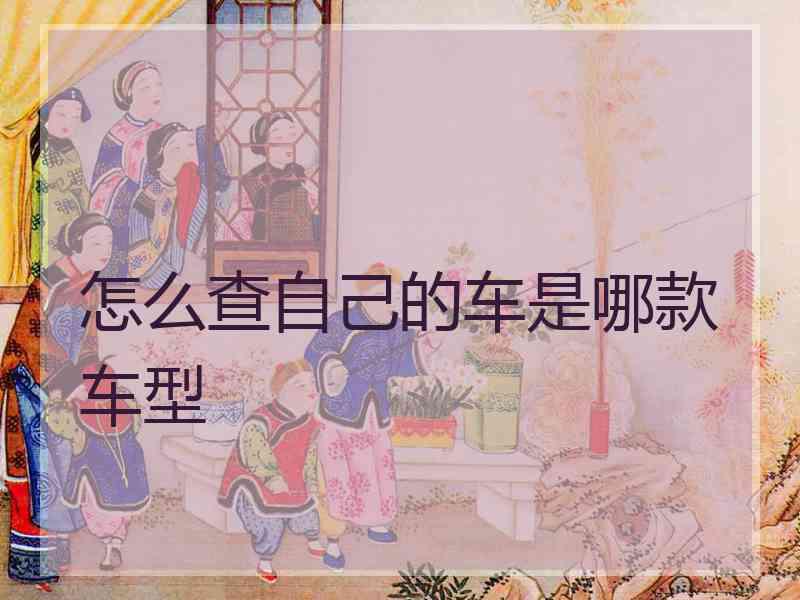 怎么查自己的车是哪款车型 怎么查自己的车是哪款车型