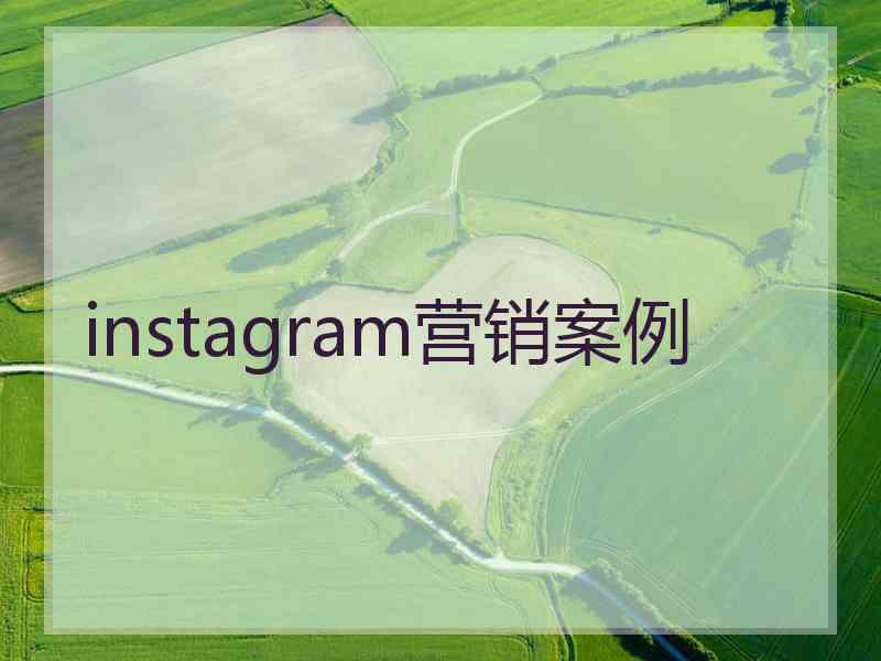 instagram营销案例 instagram营销案例
