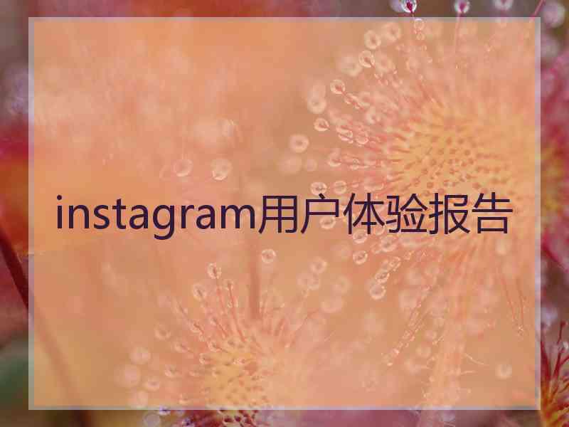 instagram用户体验报告 instagram用户体验报告