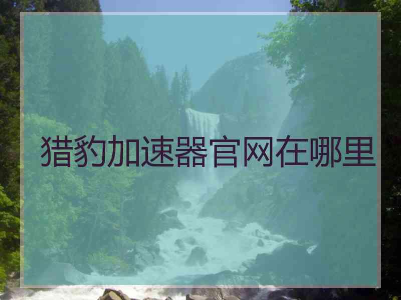 猎豹加速器官网在哪里 猎豹加速器官网在哪里