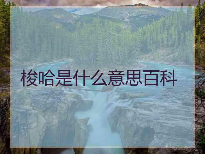 梭哈是什么意思百科 梭哈是什么意思百科
