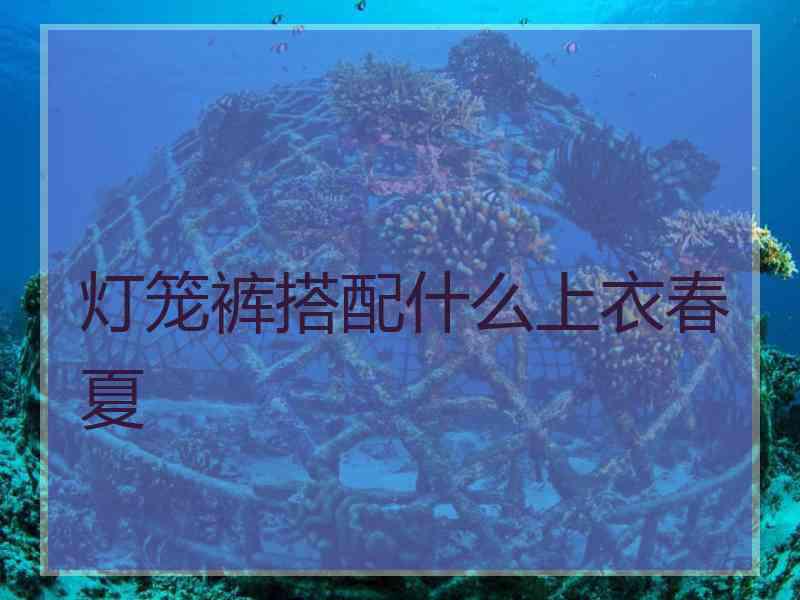 灯笼裤搭配什么上衣春夏 灯笼裤搭配什么上衣春夏